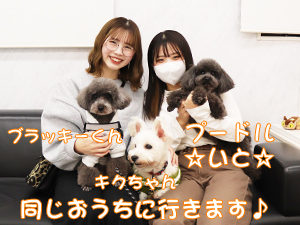 新しい家族が決まりました♪